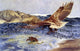Bruno Liljefors A Sea Eagle Chasing Eider Duck - 18" x 27" Premium Canvas Print
