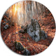 Rocky Red Autumn Forest, Landscape Photography Disc Metal Artwork, 11"