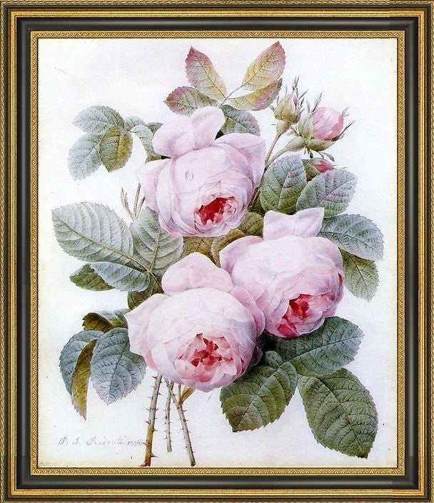 PierreJoseph Redoute Roses Framed Premium Canvas Print, 20"x25"