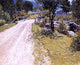 John Joseph Enneking Sandy Road Premium Canvas Print