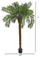7' Cycas Palm Artificial Tree