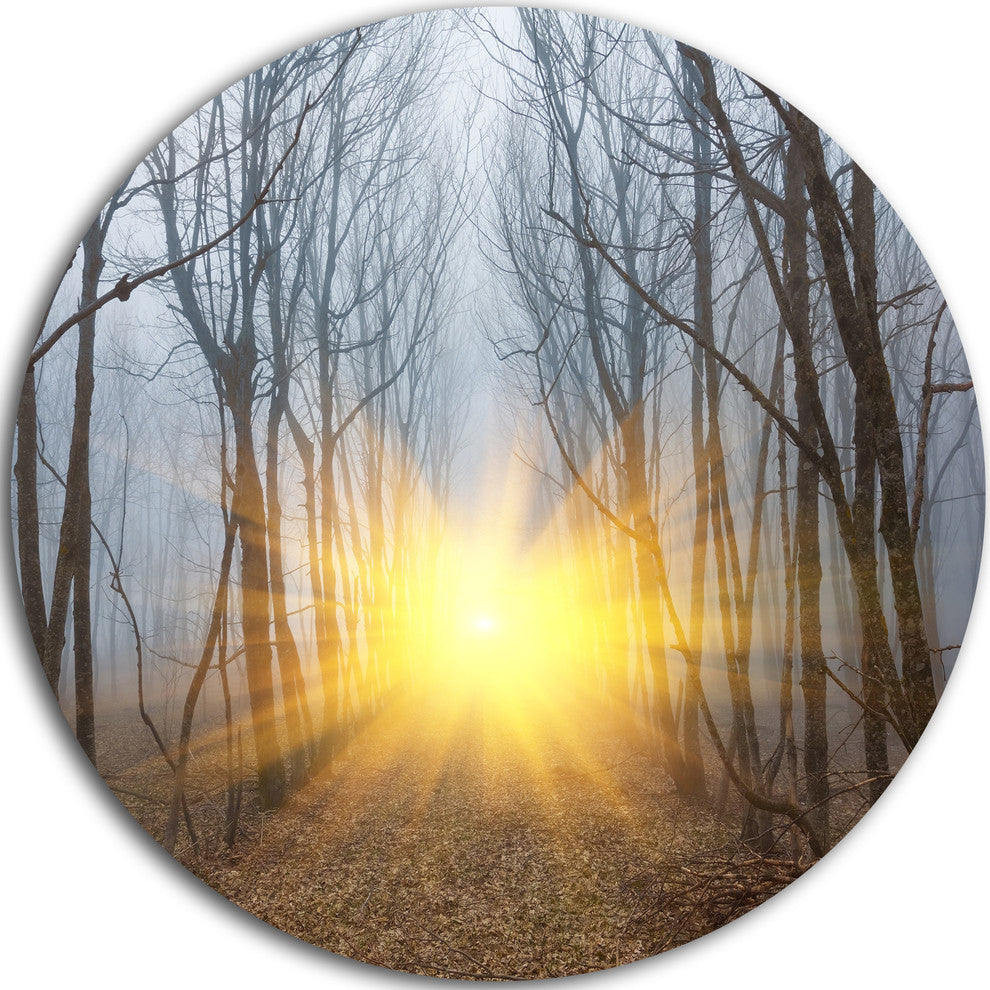 Yellow Sun Rays In Misty Forest, Landscape Disc Metal Wall Art, 36"