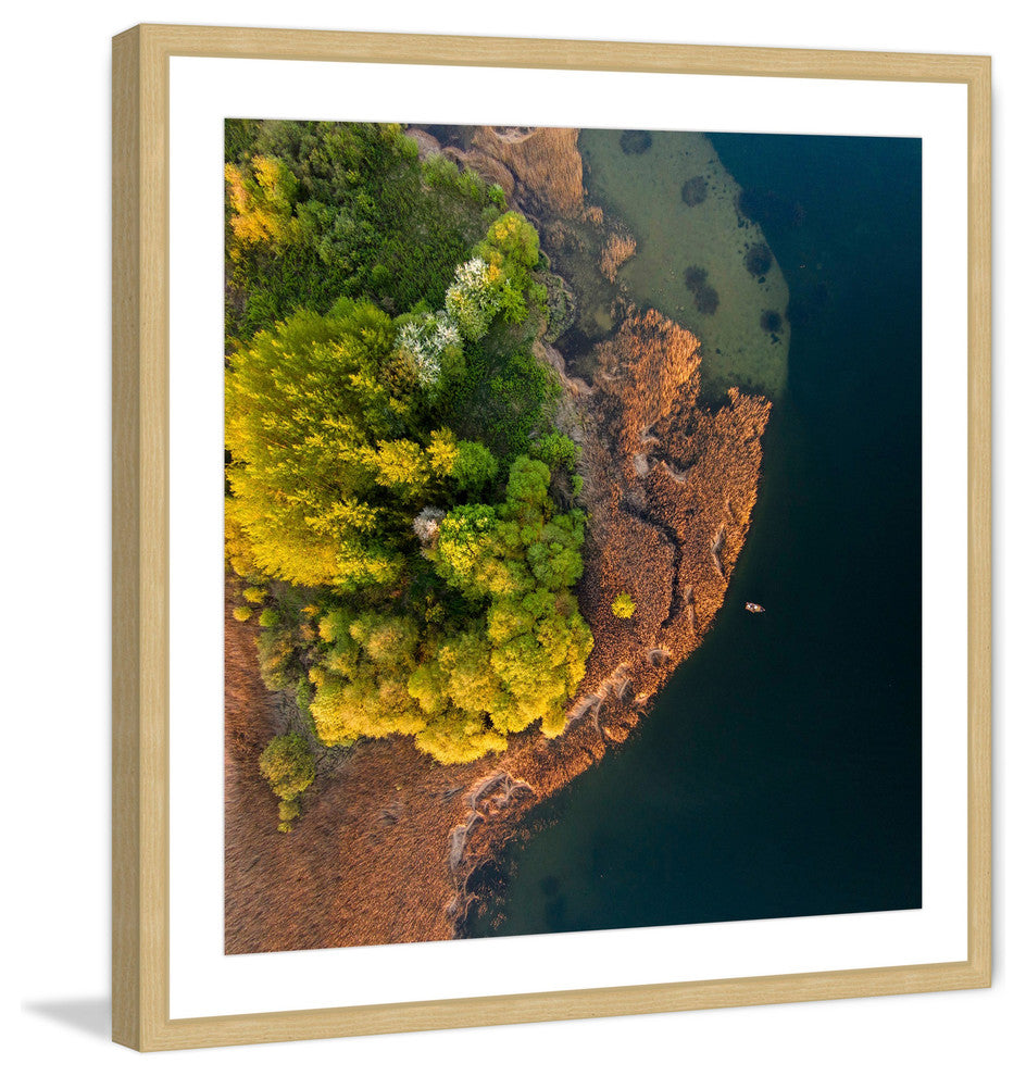 "Trees from Above" Framed Painting Print by Karolis Janulis