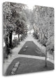 "Paris - 14" By Alan Blaustein,Ready to Hang Giclee Print on Gallery Wrap Canvas