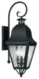 Amwell Outdoor Wall Lantern, Black