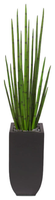 63" Tall Snake Grass Display With Pebbles in Metal Planter