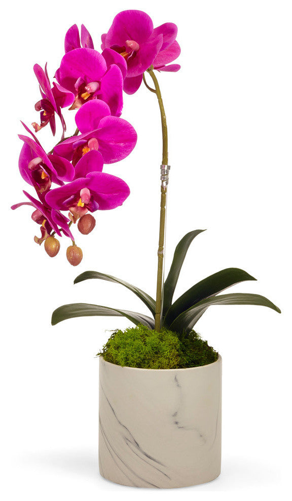 Single Orchid in Marble, Fuschia