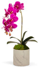 Single Orchid in Marble, Fuschia