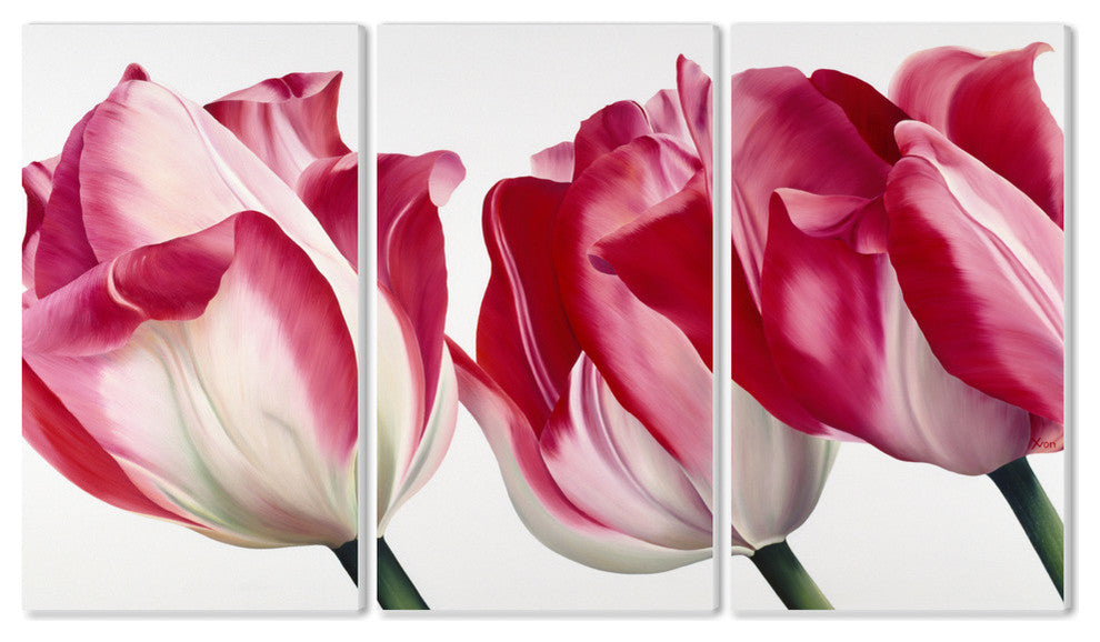Fresh Pink Tulips Triptych Art