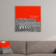 Deny Designs Bird Ave Nebraska Huskers Red Framed Wall Art
