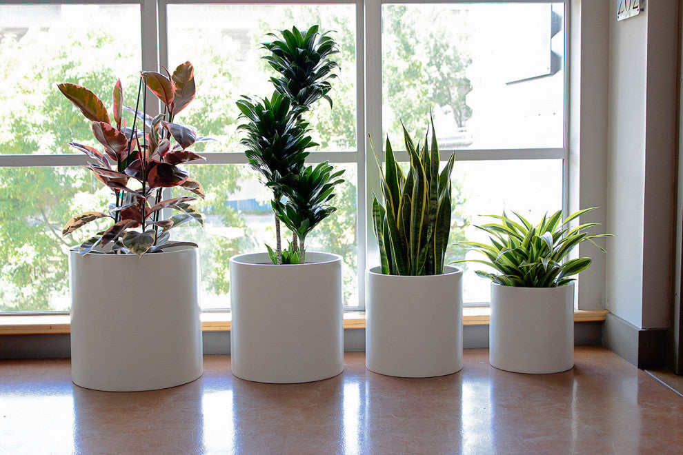 Root And Stock Brea Round Cylinder Planter, White, D:12" X H:12"