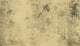 Bamboo Forest, Antique Beige Full Size