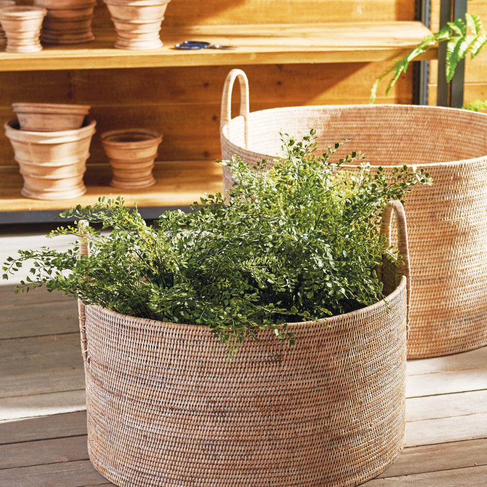 Faux Maiden Hair Fern Drop-In Plant