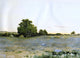 Arthur Wesley Dow Water Meadows at Sunset Premium Canvas Print