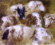Rosa Bonheur Heads of Ewes and Rams - 20" x 25" Premium Canvas Print