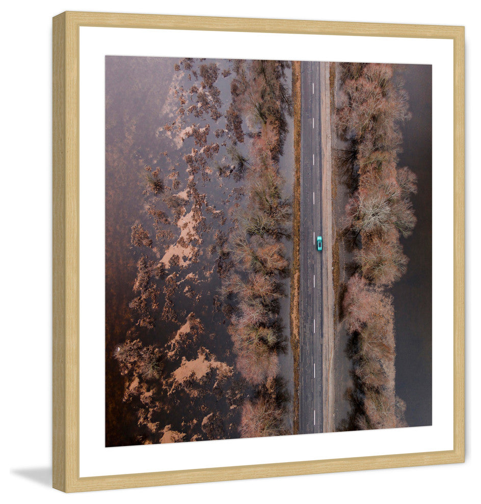 "Lone Car" Framed Print by Karolis Janulis