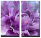 Painted Petals LI 2-Piece Canvas Art Set, 24"x12"
