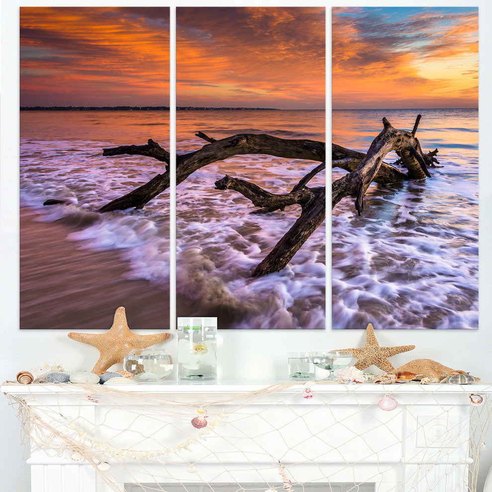 "Huge Branch of Tree at Seashore" Beach Metal Wall Art, 3 Panels, 36"x28"