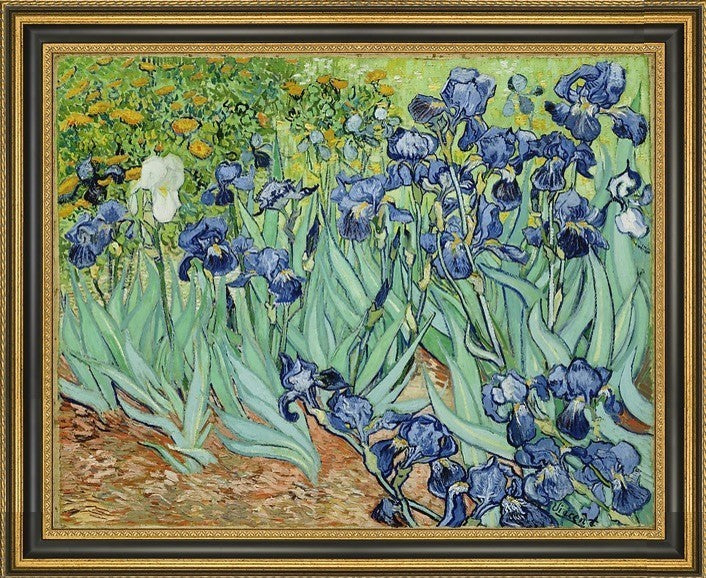 Vincent Van Gogh Irises Framed Premium Canvas Print, 20"x25"