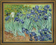 Vincent Van Gogh Irises Framed Premium Canvas Print, 20"x25"