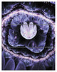 "Shiny Fractal Flower With Bokeh Effect" Metal Wall Art, 3 Panels, 28"x36"