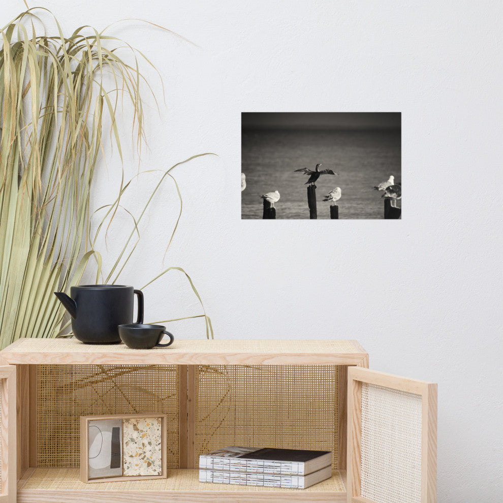Drying Wings After Storm (Birds) Wildlife Photography Unframed Wall Art Print, 12" X 18"