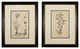 Original Vintage 1887 Botanical Herb Framed Print, Set of 2