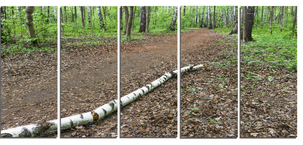 "Trunk of Birch On The Track" Contemporary Landscape Wall Art, 5 Panels, 60"x28"