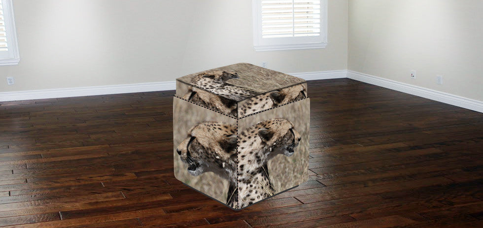 "Cheetah 17" Ottoman, 5-Sided With Storage, Square