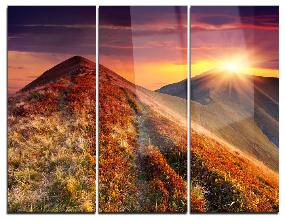 "Autumn Hills With Colorful Grass" Photo Metal Wall Art, 3 Panels, 36"x28"