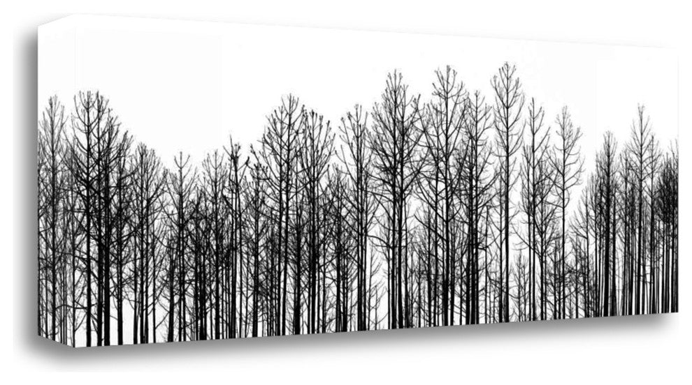 "Straightforward" By Jamie Cook, Giclee Print on Gallery Wrap Canvas