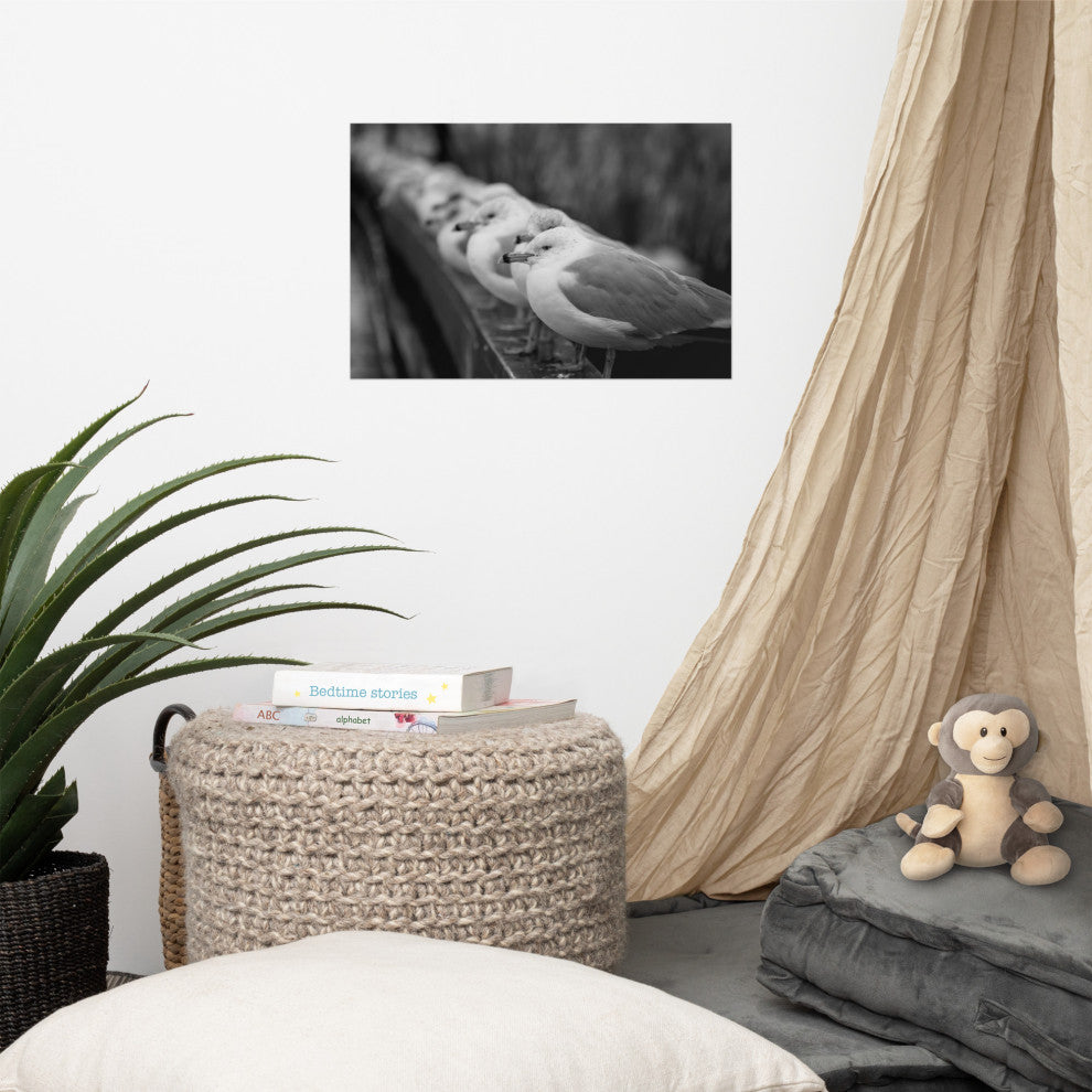 Gull King Black & White (Coastal Birds) Wildlife Photo Unframed Wall Art Print, 12" X 18"