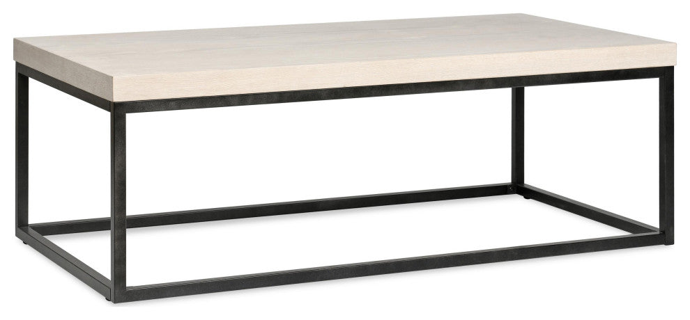 Catta 52" Rectangular Wood Coffee Table White Wash
