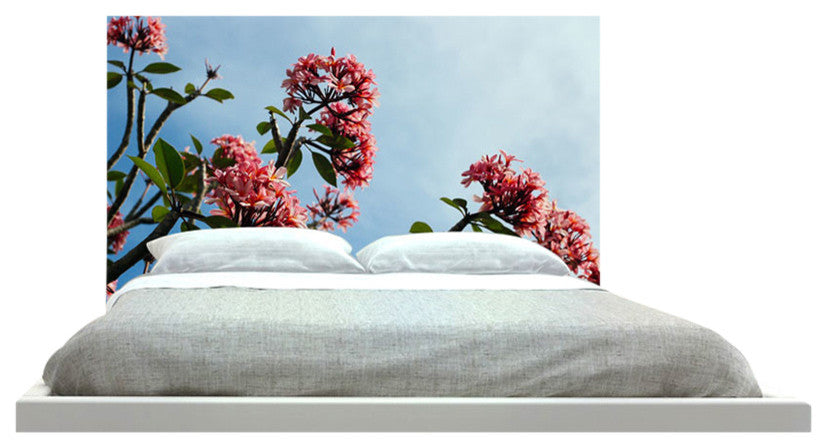 "Skyrose" Headboard