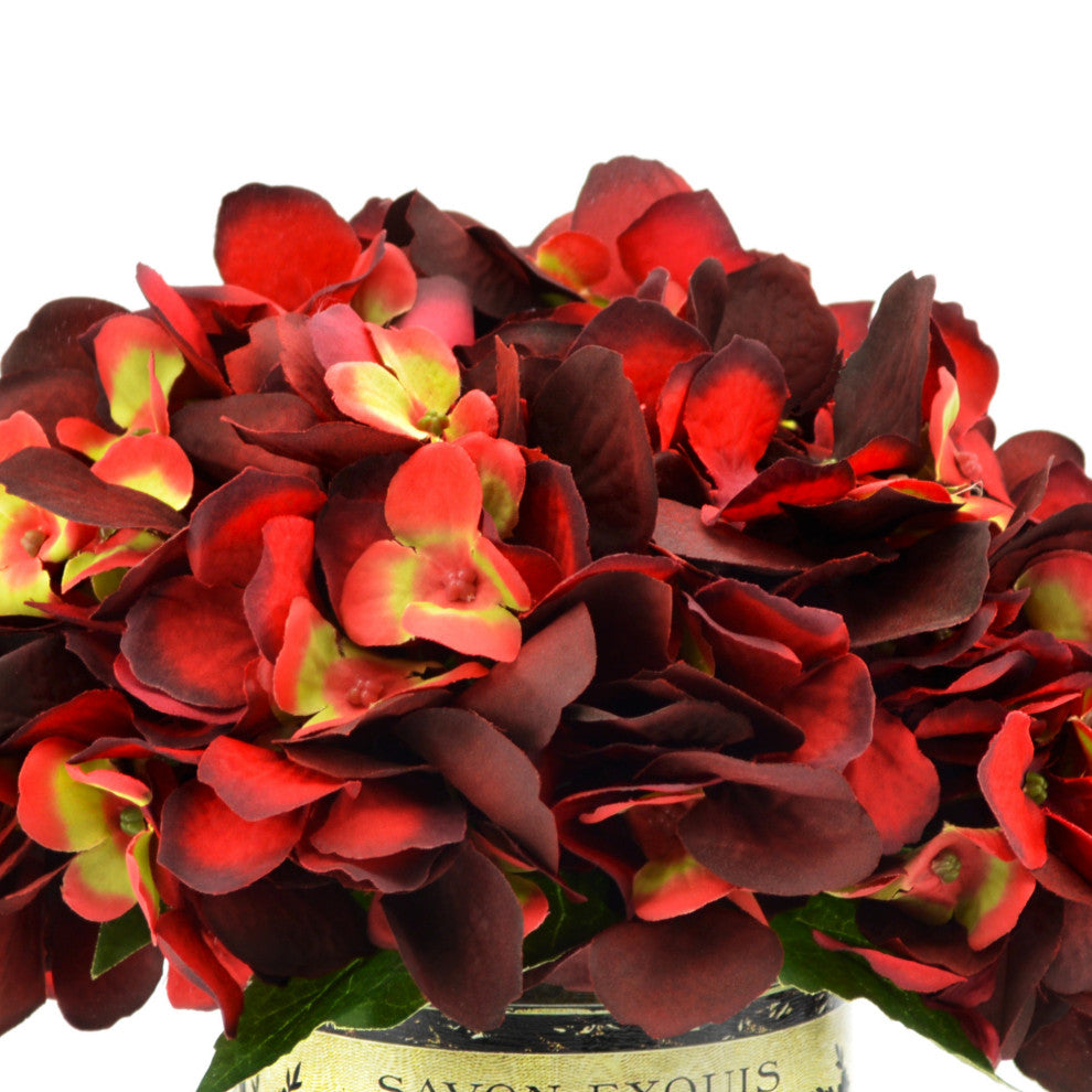 Burgundy hydrangeas in French label pot