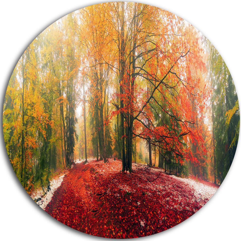 Alpine Forest After Snowfall, Landscape Photo Round Metal Wall Art, 38"