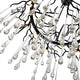 Anita 12 Light Chandelier With Black Finish