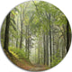 Green Beach Forest Pathway, Landscape Photo Round Metal Wall Art, 23"