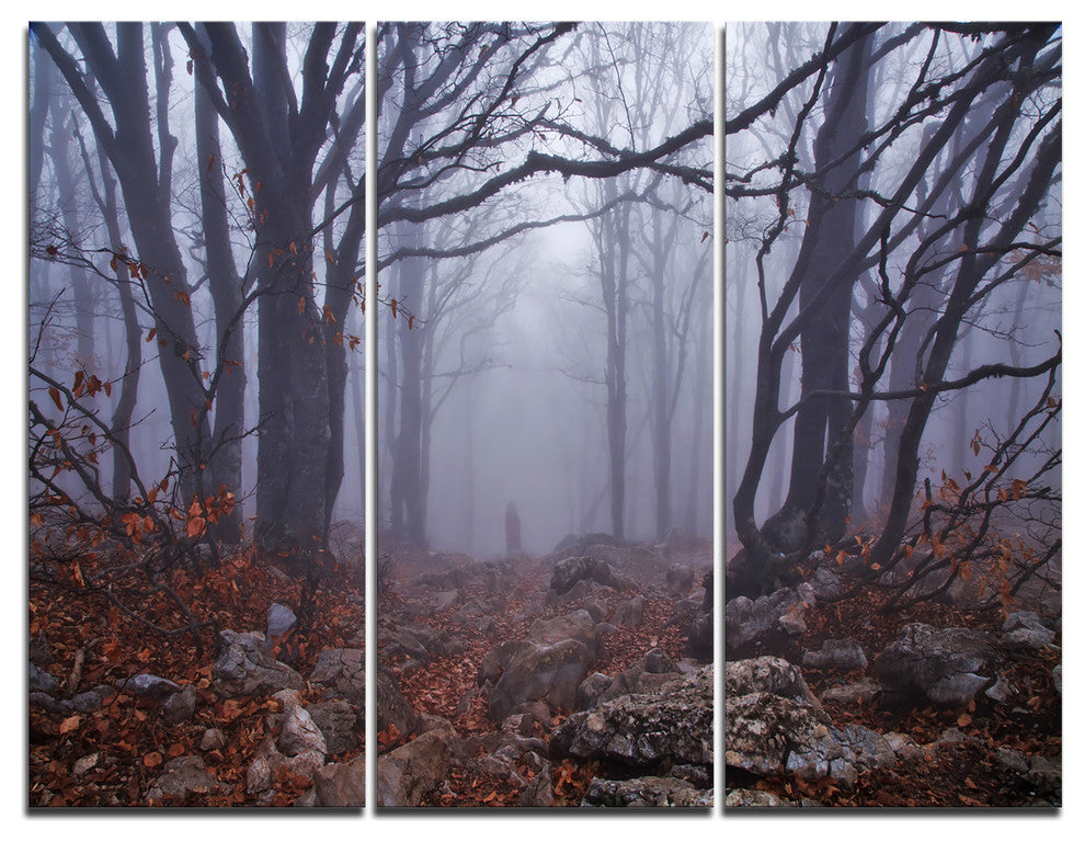 "Dark Foggy Forest in Autumn" Photo Canvas Print, 3 Panels, 36"x28"