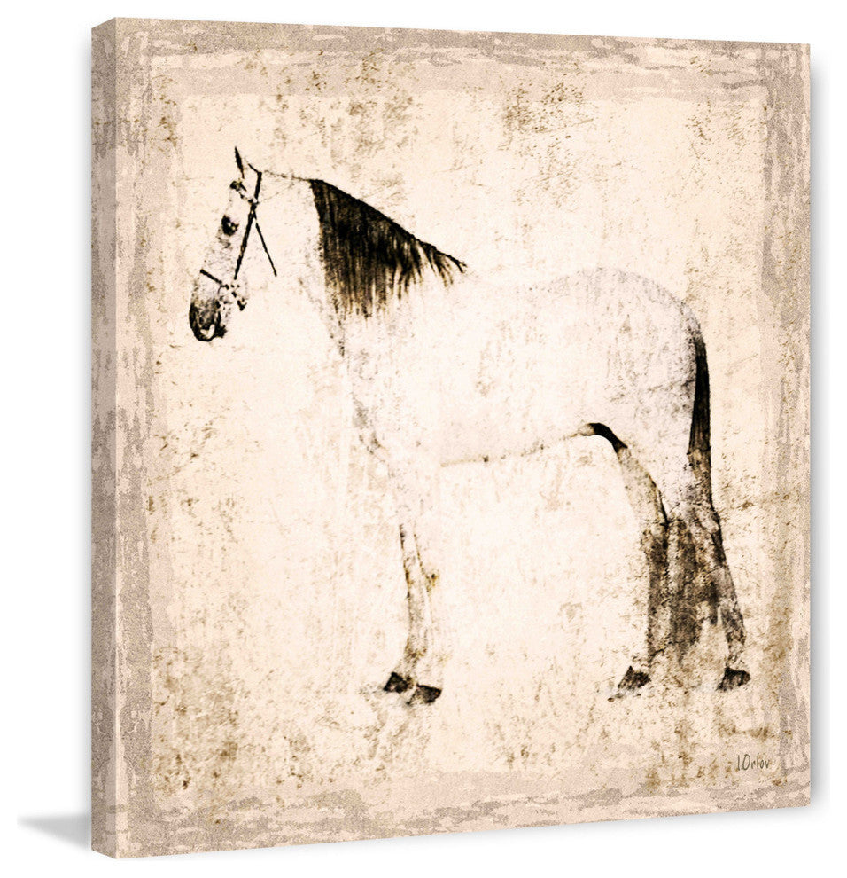 "White Horse" Painting Print on Canvas by Irena Orlov