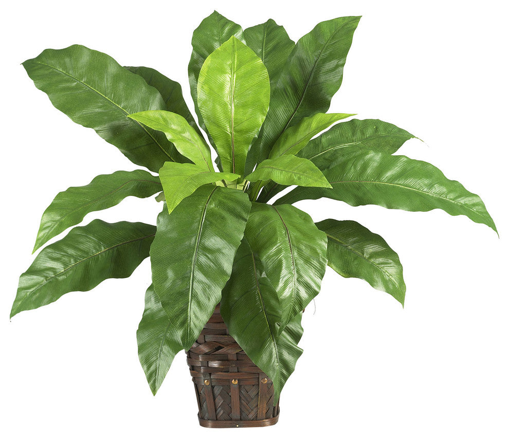 Mixed Greens Zebra With Wicker Silk Plant