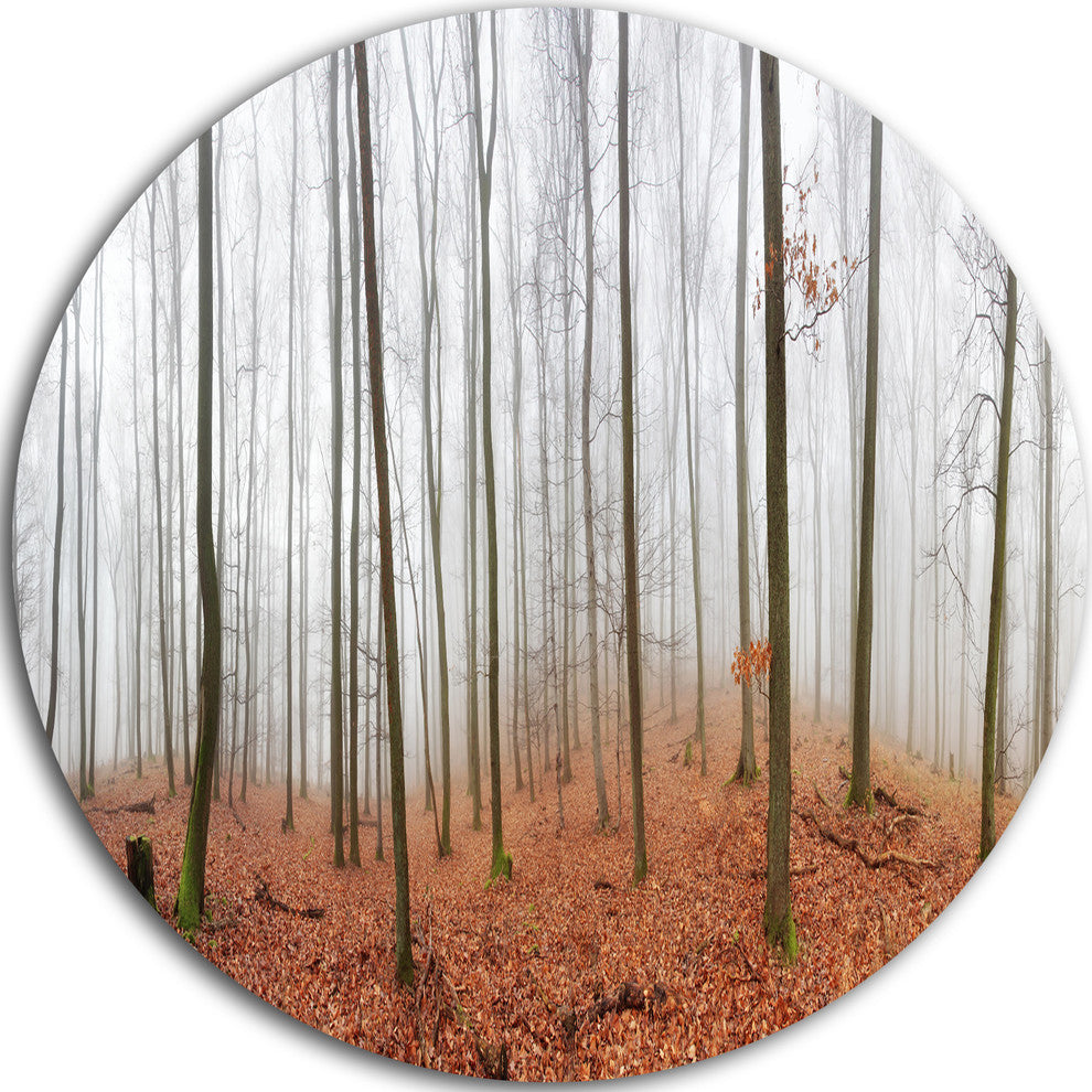Fall Forest With Trees At Mist, Forest Round Metal Wall Art, 11"