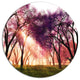 Cherry Blossoms Japan Garden, Landscape Large Disc Metal Wall Art, 23"
