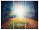 "Rising Sun Over Arched Forest" Photo Metal Wall Art, 3 Panels, 36"x28"