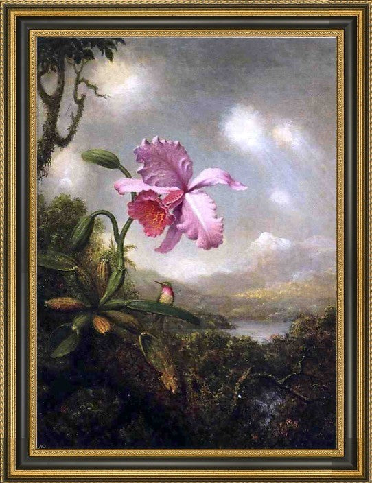 Martin Johnson Heade Hummingbird and Orchid Framed Premium Canvas Print, 16"x24"