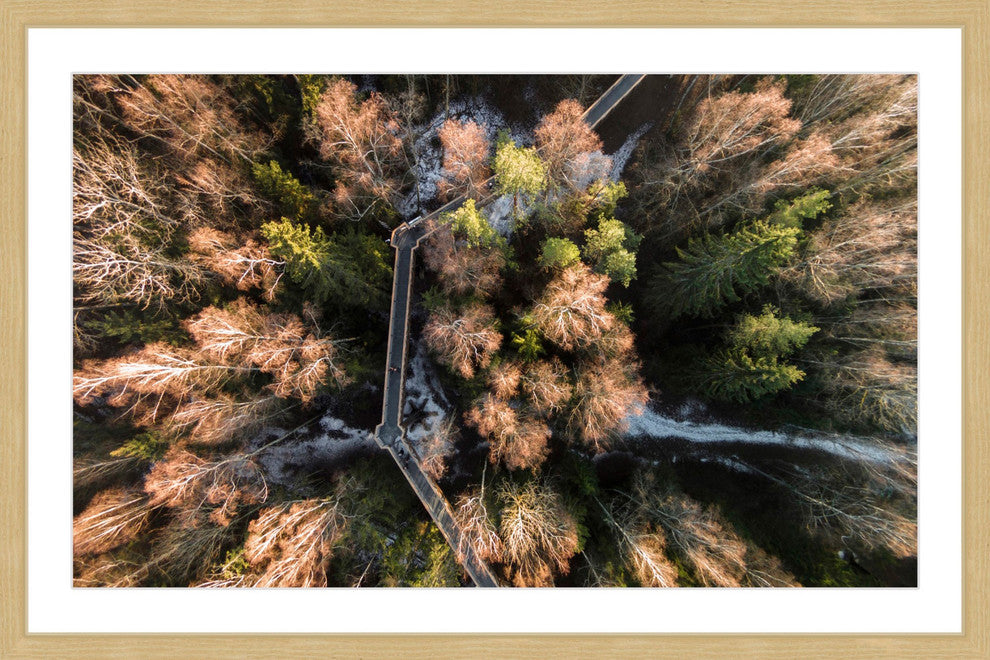 "Walkway Through Trees" Framed Print by Karolis Janulis