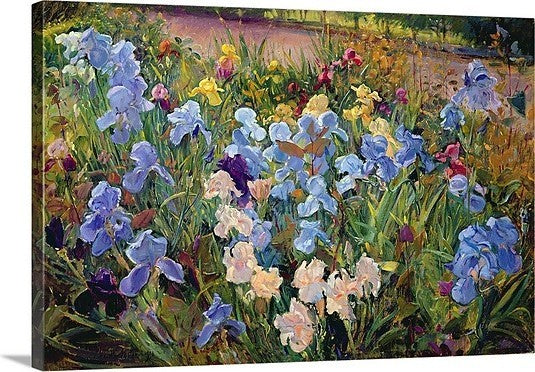 "The Iris Bed, 1993" Canvas Art, 30"x20"x1.25"