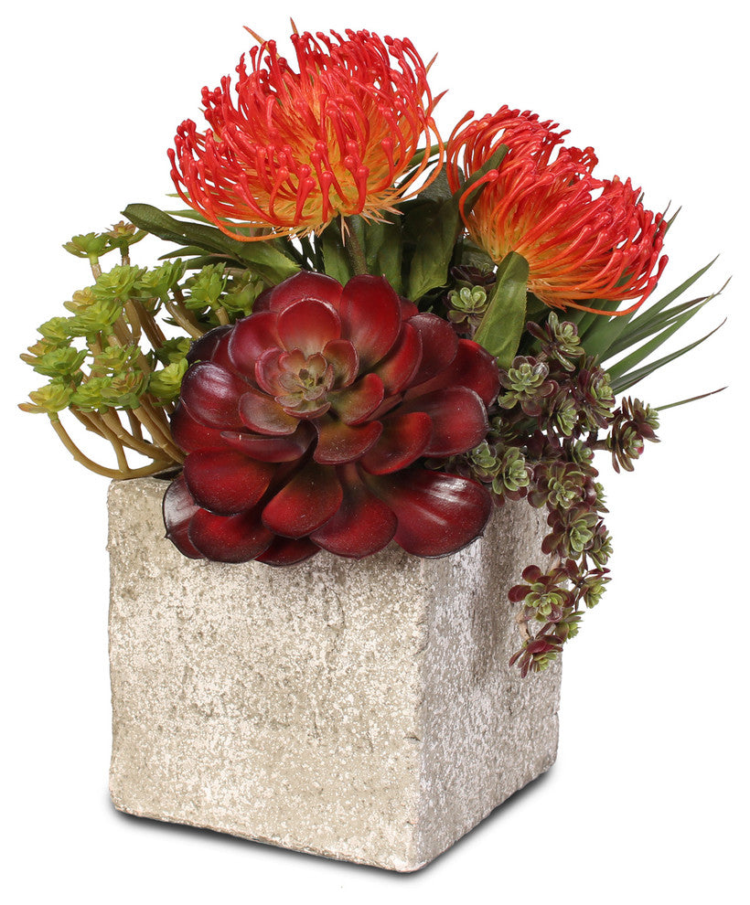 Jade Plant and Rosette Succulents Arrangement in Cement Pot