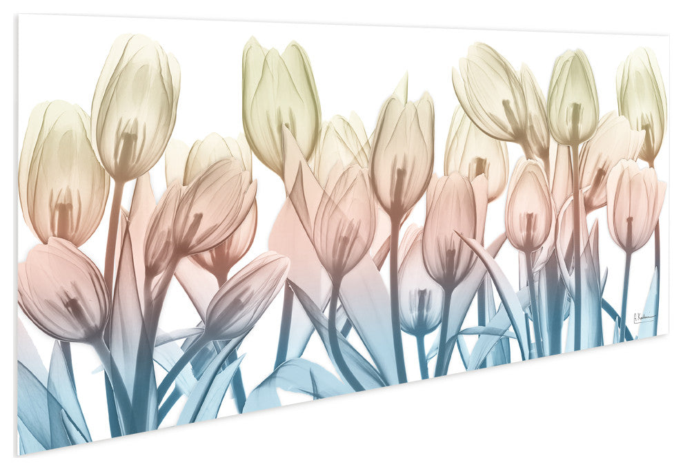 "Spring Blooms" Frameless Free Floating Panel Graphic Wall Art, 24"x63"