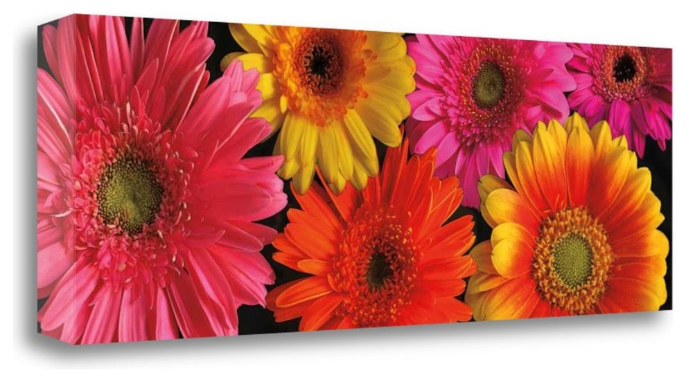"Simply Spring" By Janel Pahl,Ready to Hang Giclee Print on Gallery Wrap Canvas